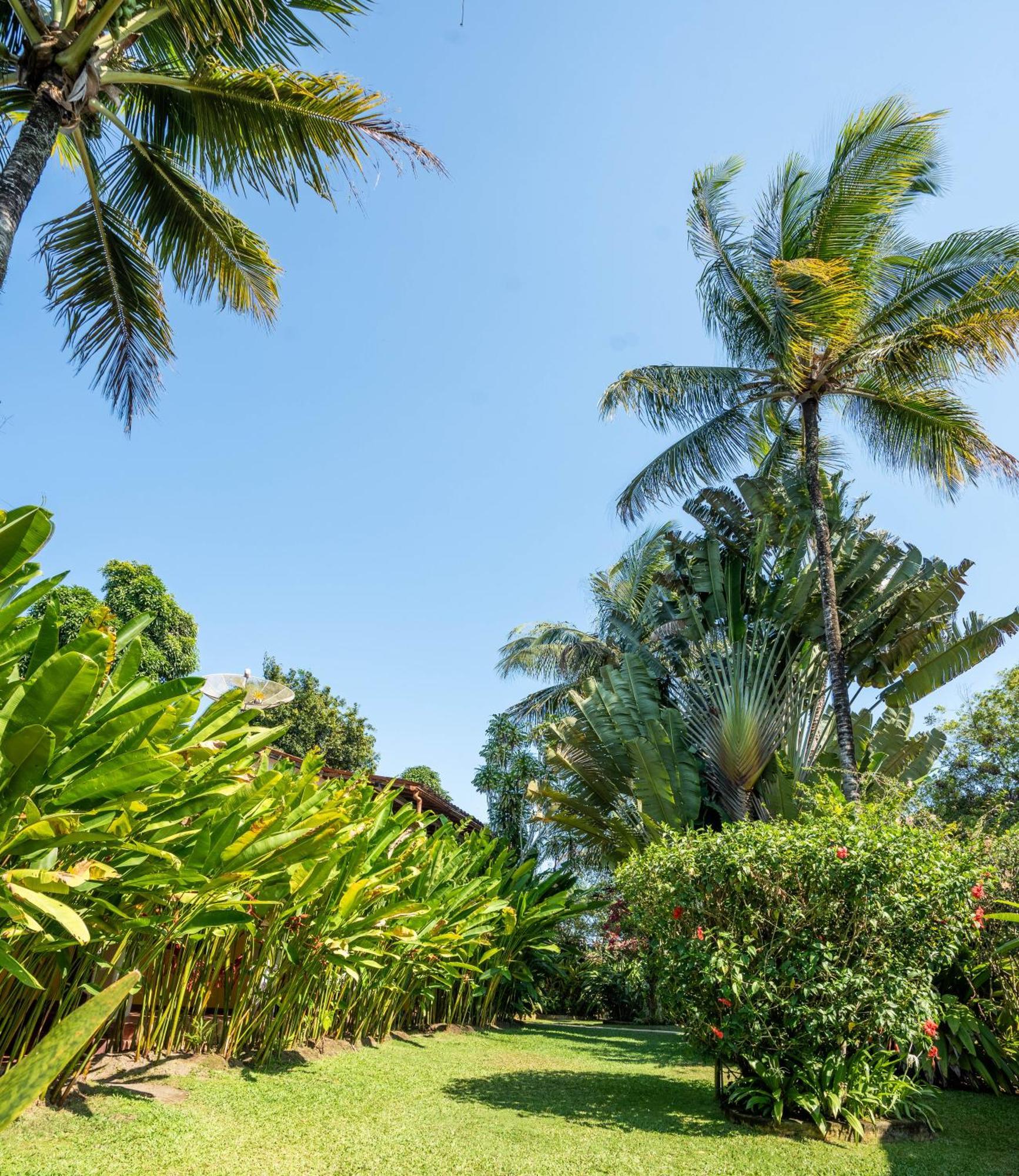 Pousada Jardim Das Margaridas Trancoso Exteriér fotografie
