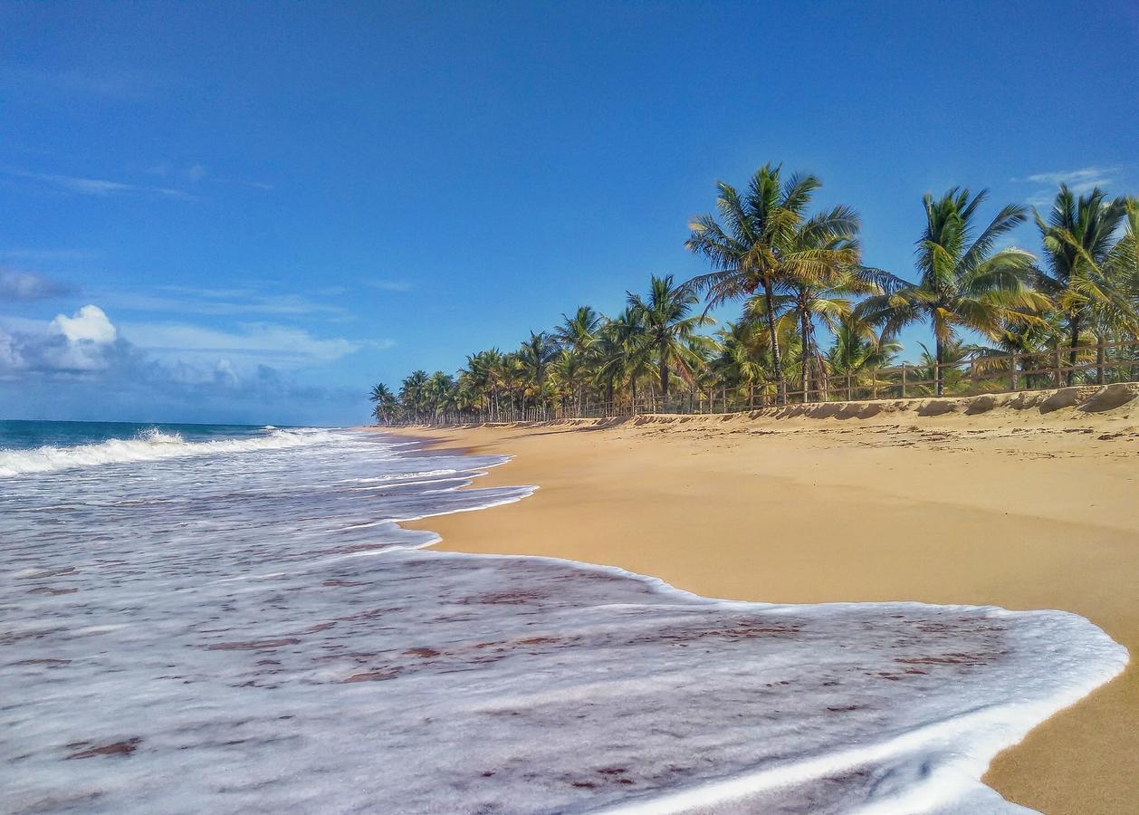 Pousada Jardim Das Margaridas Trancoso Exteriér fotografie