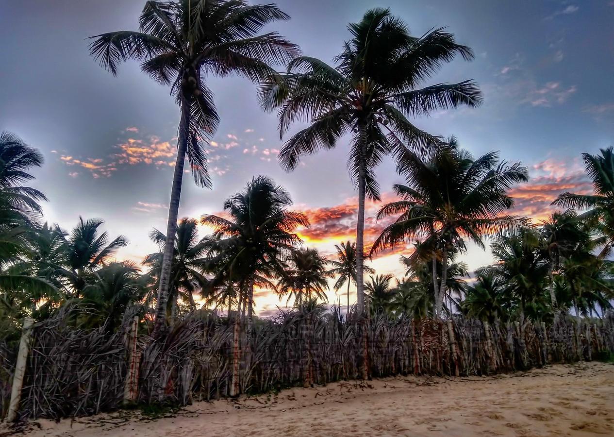 Pousada Jardim Das Margaridas Trancoso Exteriér fotografie