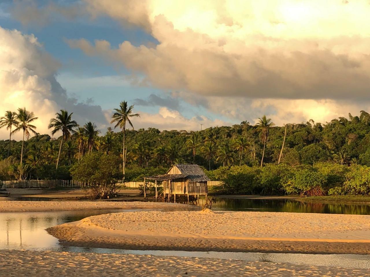 Pousada Jardim Das Margaridas Trancoso Exteriér fotografie